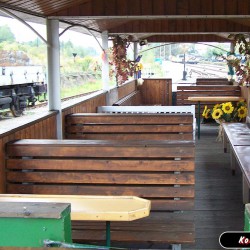 Panorama-Wagen Panorama-Wagen