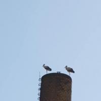 Ostern 2020 mit Zwangspause im Fahrbetrieb