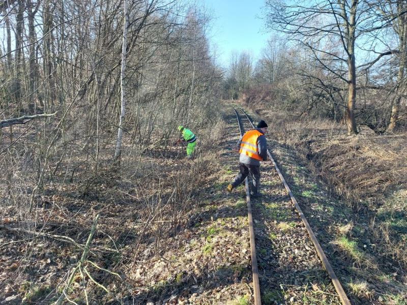 Arbeitseinsatz Januar 2024